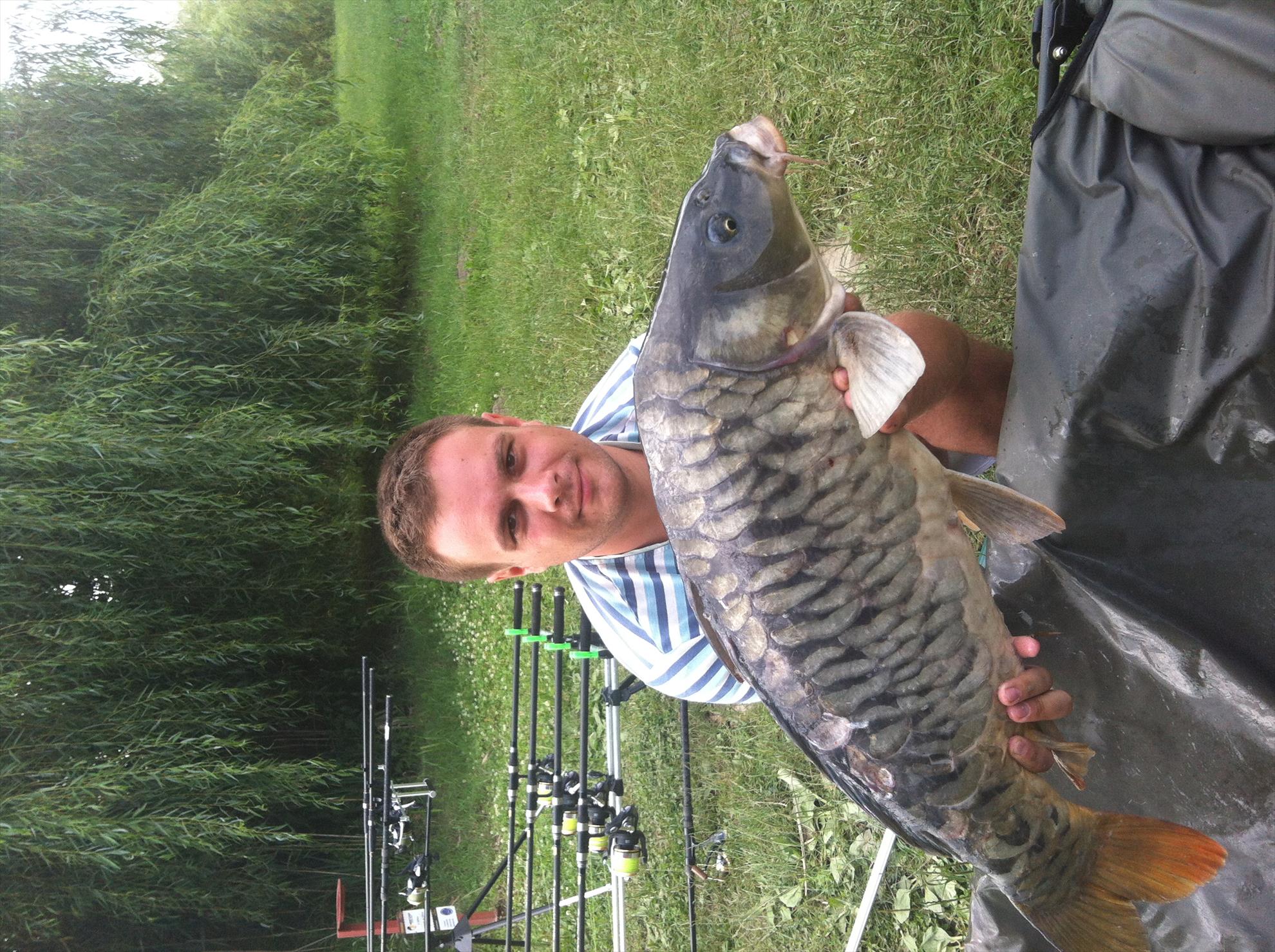 Bogdan - img1995.JPG